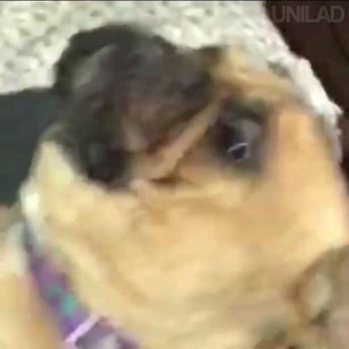 สมาชิกหมายเลข 3866537