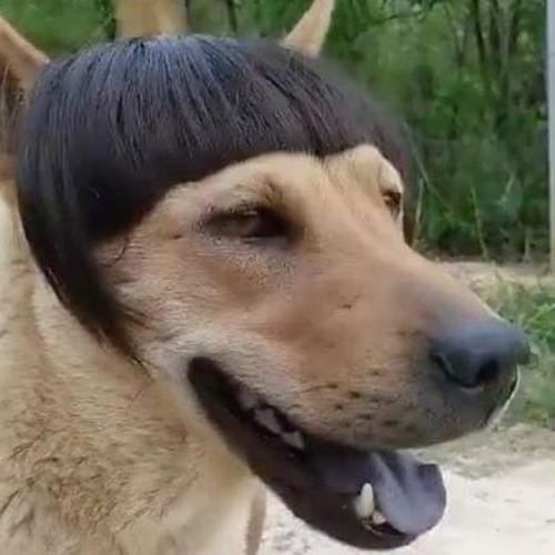 สมาชิกหมายเลข 732620