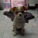 สมาชิกหมายเลข 1900042