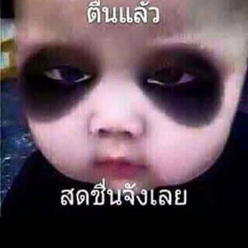 สมาชิกหมายเลข 5288396