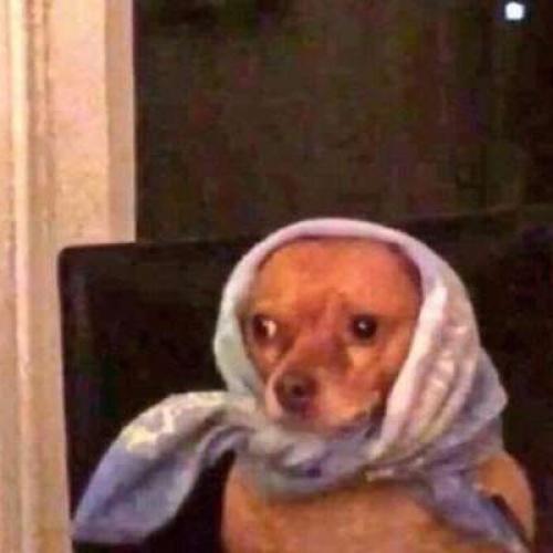 สมาชิกหมายเลข 5743467