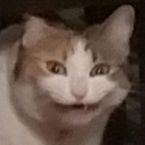 สมาชิกหมายเลข 5743755