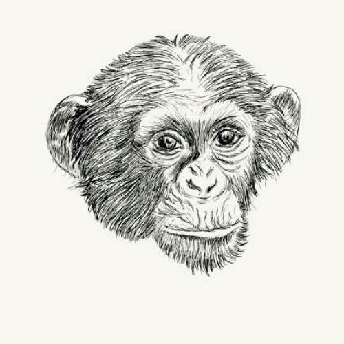 สมาชิกหมายเลข 6331072