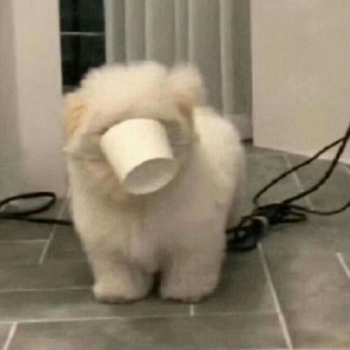 สมาชิกหมายเลข 6490894