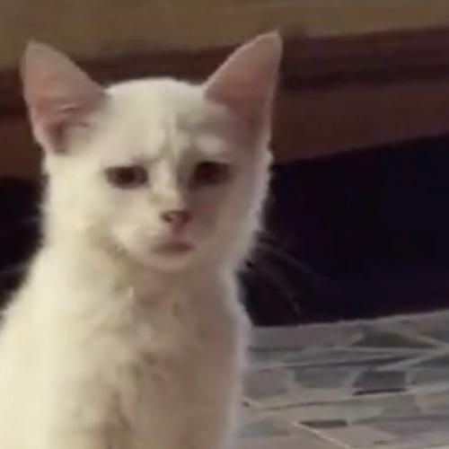 สมาชิกหมายเลข 7001060