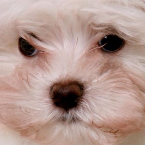 สมาชิกหมายเลข 7002422