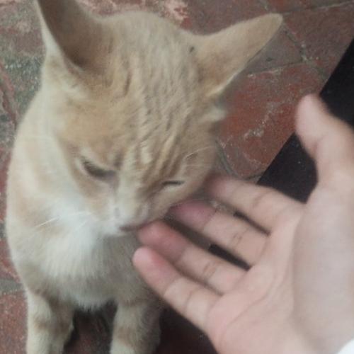 สมาชิกหมายเลข 6445158