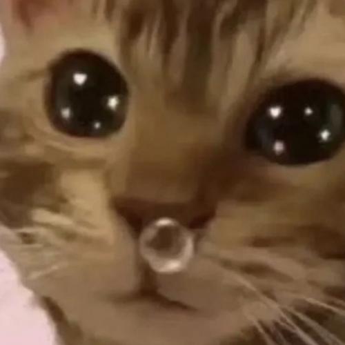 สมาชิกหมายเลข 8744245