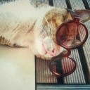 สมาชิกหมายเลข 3670728