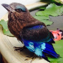 สมาชิกหมายเลข 4875533