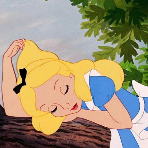 สมาชิกหมายเลข 4895702