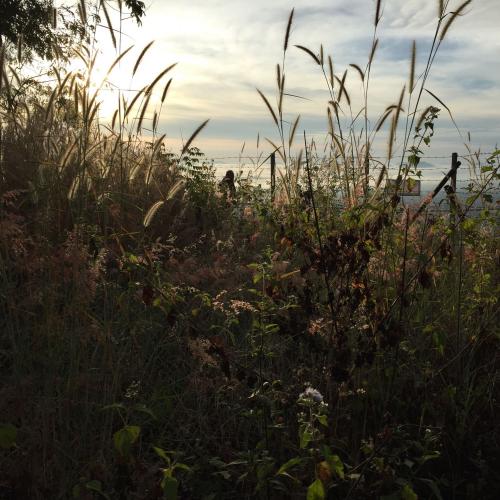 สมาชิกหมายเลข 4895766