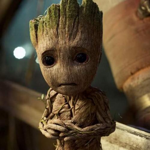 สมาชิกหมายเลข 4746714