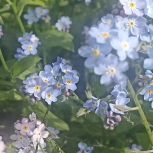 สมาชิกหมายเลข 7201041