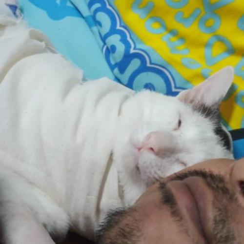 สมาชิกหมายเลข 7937070