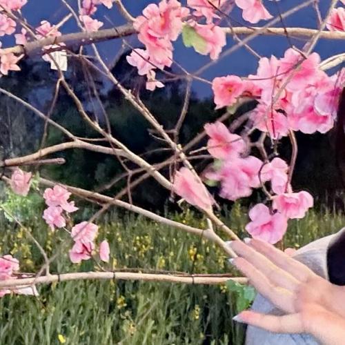 สมาชิกหมายเลข 8323053