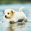 สมาชิกหมายเลข 3860926