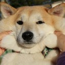 สมาชิกหมายเลข 4132951