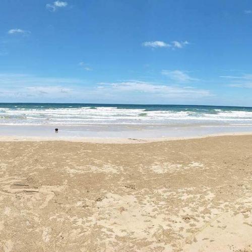 สมาชิกหมายเลข 4009739