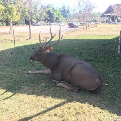 สมาชิกหมายเลข 4829739