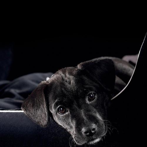 สมาชิกหมายเลข 4945508