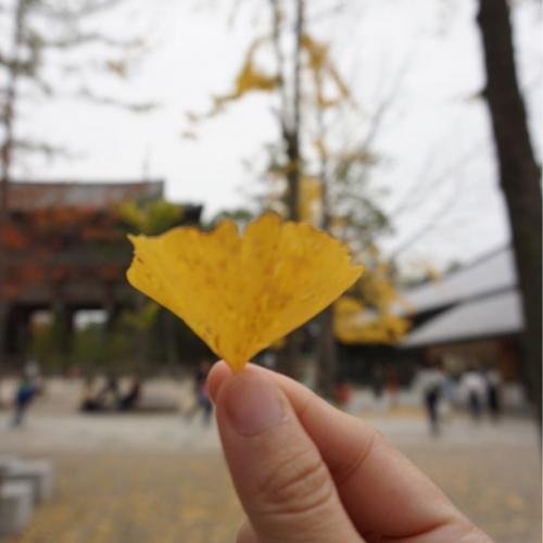 สมาชิกหมายเลข 5744328