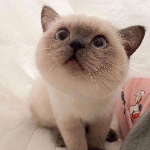 สมาชิกหมายเลข 3451127