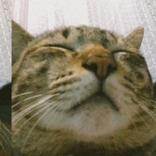 สมาชิกหมายเลข 4337305