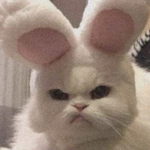 สมาชิกหมายเลข 6332174