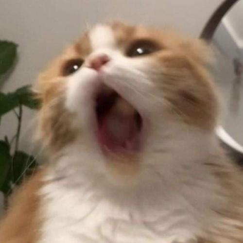 สมาชิกหมายเลข 6716086