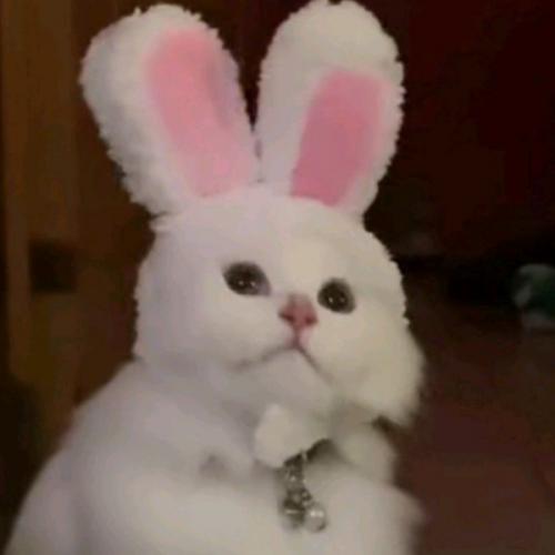 สมาชิกหมายเลข 6847659