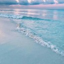 สมาชิกหมายเลข 4133759