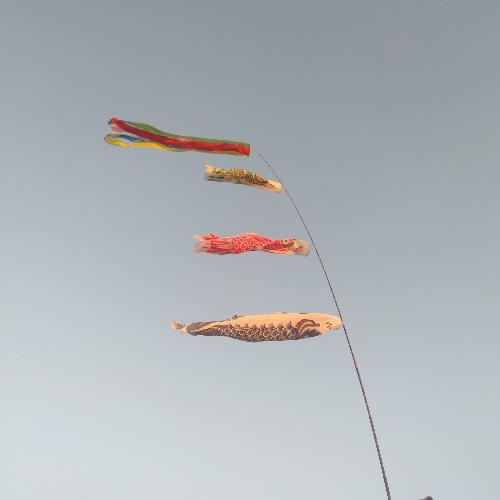 สมาชิกหมายเลข 5223915