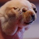 สมาชิกหมายเลข 5292082