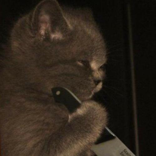 สมาชิกหมายเลข 5293138