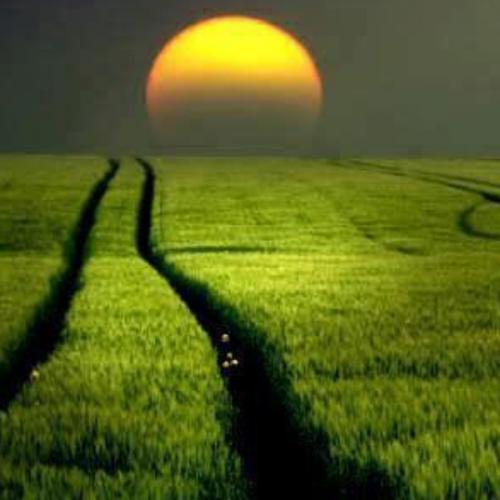 สมาชิกหมายเลข 2134026