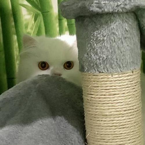 สมาชิกหมายเลข 3661233