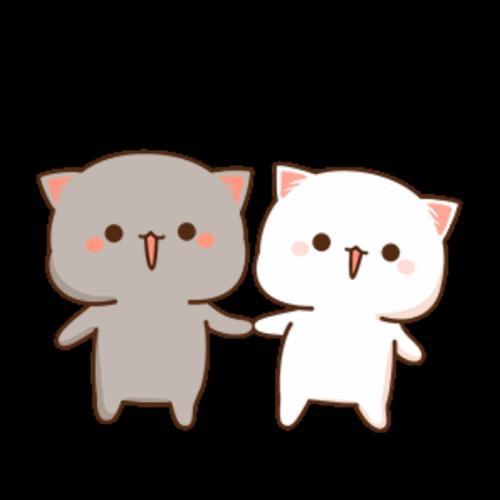 สมาชิกหมายเลข 5270003