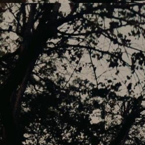 สมาชิกหมายเลข 5741057