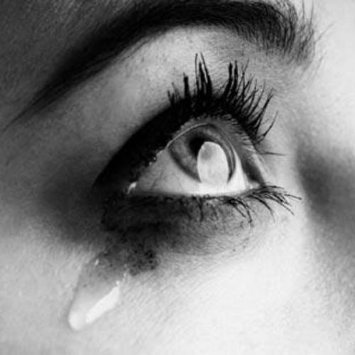 สมาชิกหมายเลข 5745072