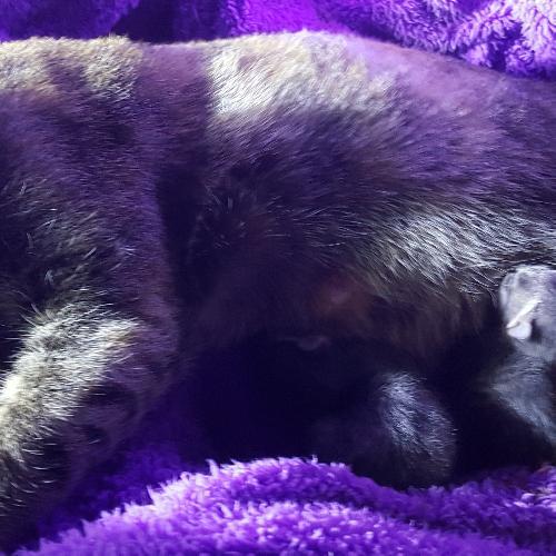 สมาชิกหมายเลข 2415515