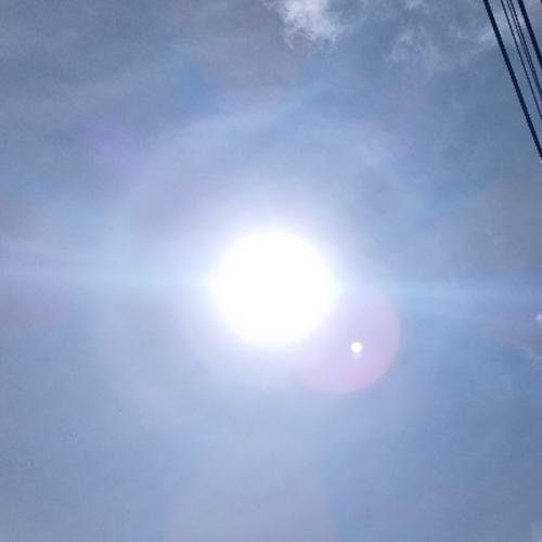 สมาชิกหมายเลข 7004024