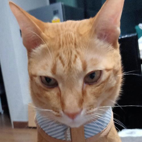 สมาชิกหมายเลข 7014288