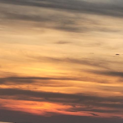 สมาชิกหมายเลข 7014797