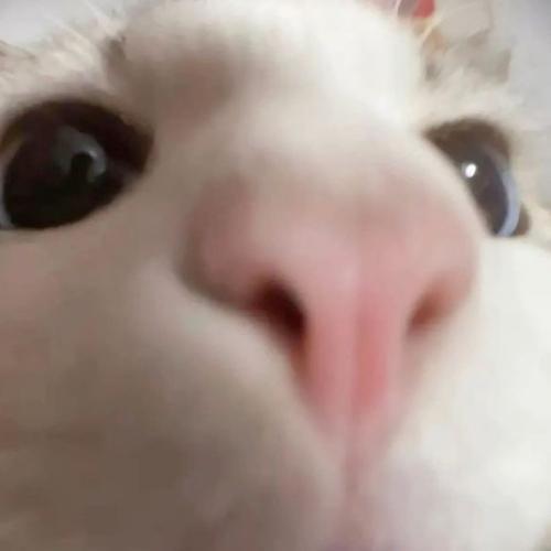 สมาชิกหมายเลข 7781975