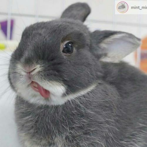 สมาชิกหมายเลข 3967425