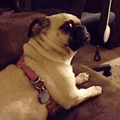 สมาชิกหมายเลข 4134136