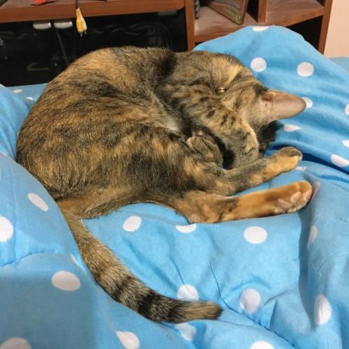 สมาชิกหมายเลข 3638042