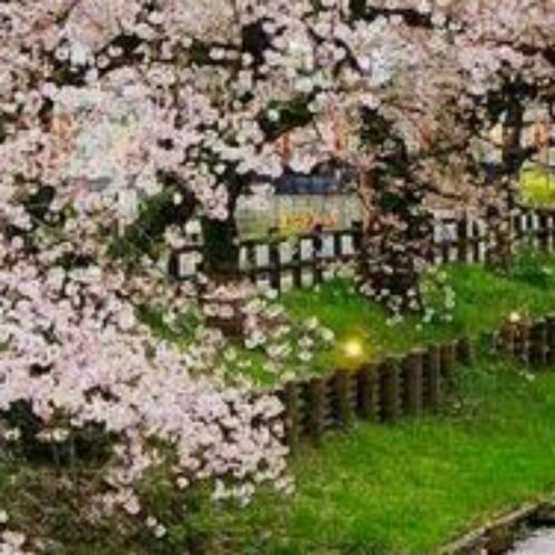 สมาชิกหมายเลข 4555869