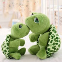 สมาชิกหมายเลข 4555883